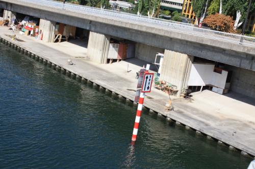 1 aus der Reihe "Schnappschüsse"